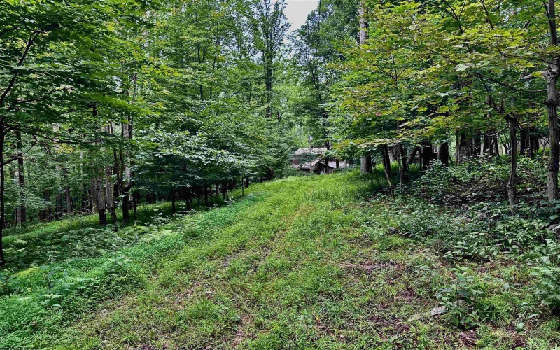 1254 Wolf Run, Philippi, West Virginia 26416, 2 Bedrooms Bedrooms, 5 Rooms Rooms,1 BathroomBathrooms,Single Family Detached,For Sale,Wolf,10160920