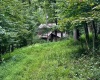 1254 Wolf Run, Philippi, West Virginia 26416, 2 Bedrooms Bedrooms, 5 Rooms Rooms,1 BathroomBathrooms,Single Family Detached,For Sale,Wolf,10160920