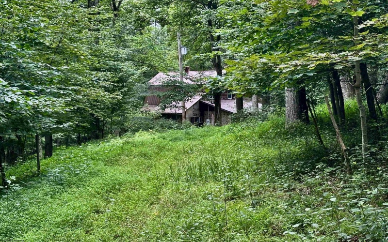 1254 Wolf Run, Philippi, West Virginia 26416, 2 Bedrooms Bedrooms, 5 Rooms Rooms,1 BathroomBathrooms,Single Family Detached,For Sale,Wolf,10160920