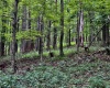 1254 Wolf Run, Philippi, West Virginia 26416, 2 Bedrooms Bedrooms, 5 Rooms Rooms,1 BathroomBathrooms,Single Family Detached,For Sale,Wolf,10160920
