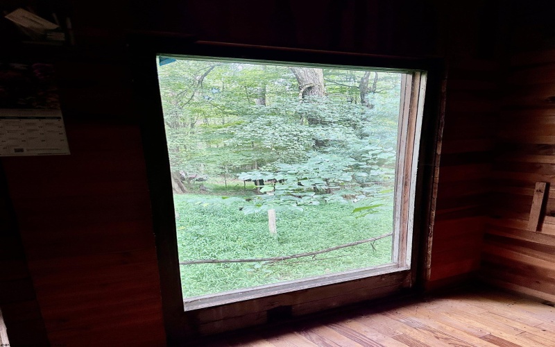 1254 Wolf Run, Philippi, West Virginia 26416, 2 Bedrooms Bedrooms, 5 Rooms Rooms,1 BathroomBathrooms,Single Family Detached,For Sale,Wolf,10160920