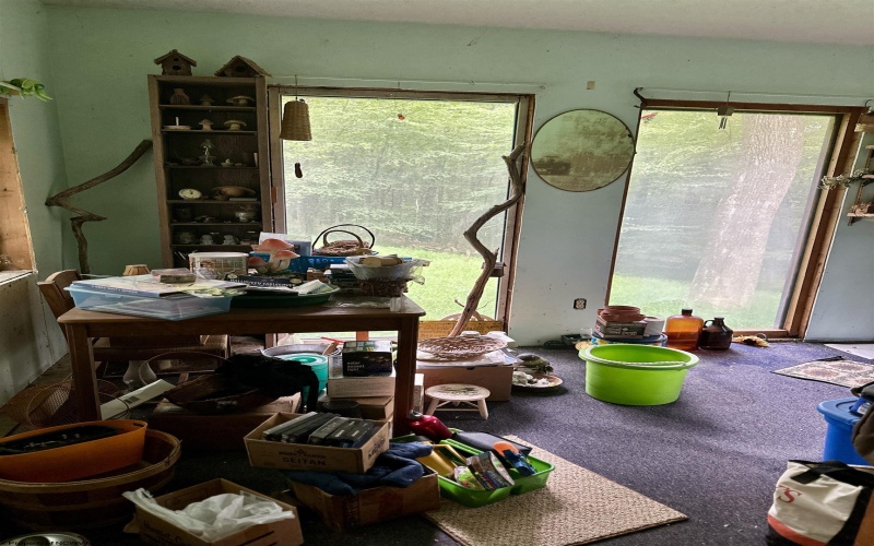 1254 Wolf Run, Philippi, West Virginia 26416, 2 Bedrooms Bedrooms, 5 Rooms Rooms,1 BathroomBathrooms,Single Family Detached,For Sale,Wolf,10160920