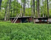 1254 Wolf Run, Philippi, West Virginia 26416, 2 Bedrooms Bedrooms, 5 Rooms Rooms,1 BathroomBathrooms,Single Family Detached,For Sale,Wolf,10160920