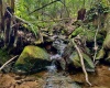 TBD Chidester Road, Terra Alta, West Virginia 26764, ,Lots/land,For Sale,Chidester,10160940