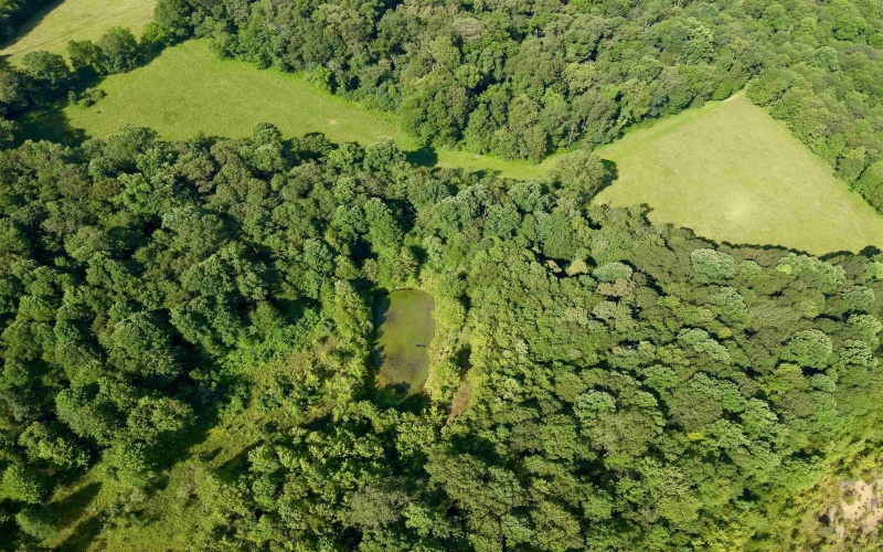 TBD Chidester Road, Terra Alta, West Virginia 26764, ,Lots/land,For Sale,Chidester,10160940