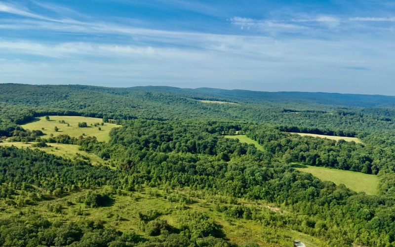 TBD Chidester Road, Terra Alta, West Virginia 26764, ,Lots/land,For Sale,Chidester,10160940