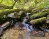 TBD Chidester Road, Terra Alta, West Virginia 26764, ,Lots/land,For Sale,Chidester,10160940