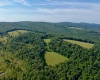 TBD Chidester Road, Terra Alta, West Virginia 26764, ,Lots/land,For Sale,Chidester,10160940