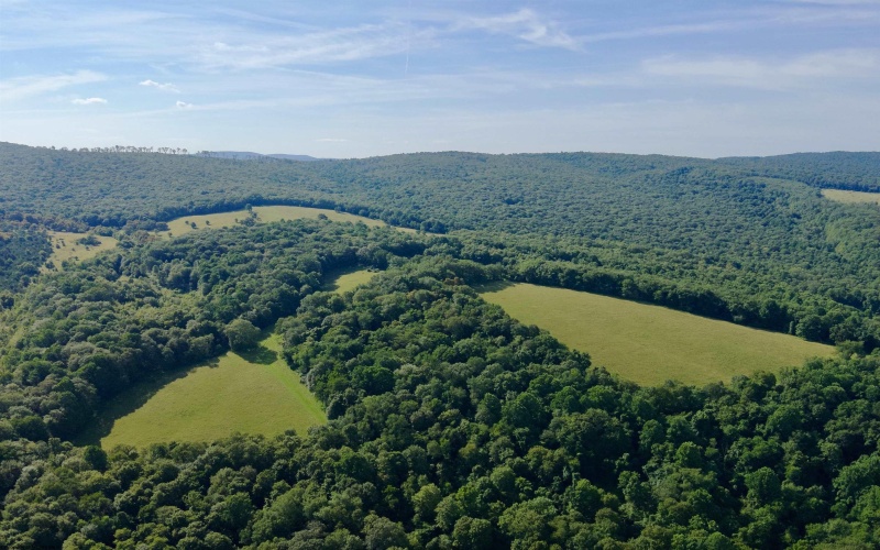 TBD Chidester Road, Terra Alta, West Virginia 26764, ,Lots/land,For Sale,Chidester,10160940