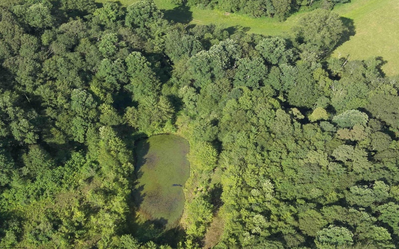 TBD Chidester Road, Terra Alta, West Virginia 26764, ,Lots/land,For Sale,Chidester,10160940