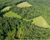 TBD Chidester Road, Terra Alta, West Virginia 26764, ,Lots/land,For Sale,Chidester,10160940