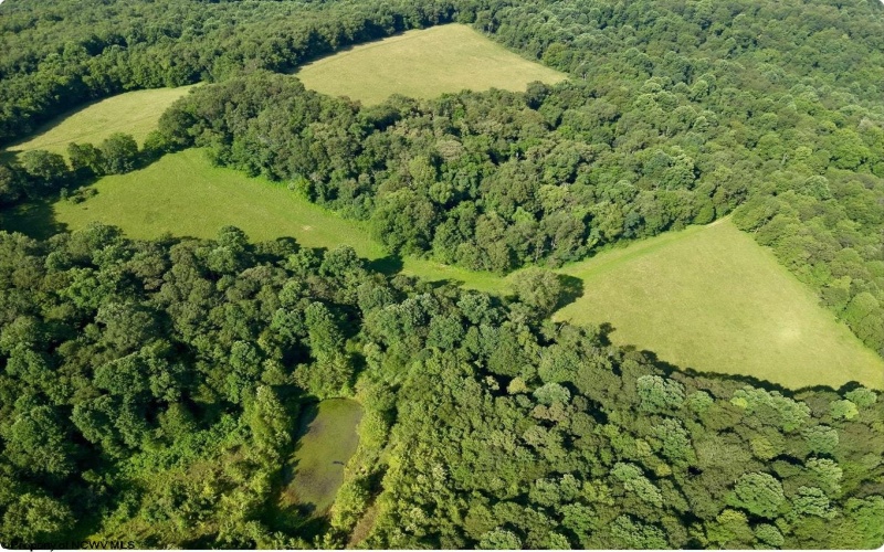 TBD Chidester Road, Terra Alta, West Virginia 26764, ,Lots/land,For Sale,Chidester,10160940