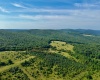 TBD Chidester Road, Terra Alta, West Virginia 26764, ,Lots/land,For Sale,Chidester,10160940