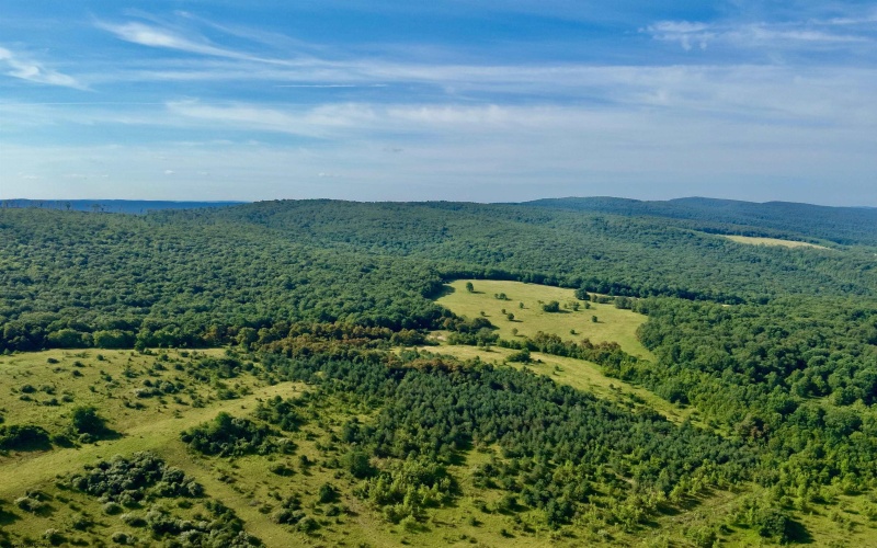 TBD Chidester Road, Terra Alta, West Virginia 26764, ,Lots/land,For Sale,Chidester,10160940