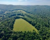 TBD Chidester Road, Terra Alta, West Virginia 26764, ,Lots/land,For Sale,Chidester,10160940