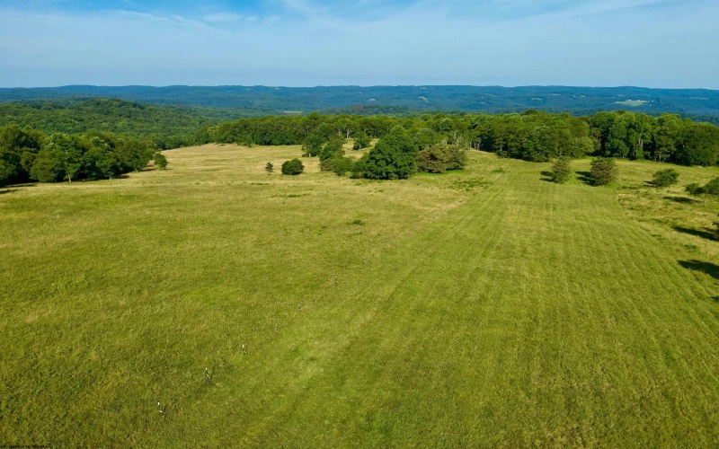TBD Chidester Road, Terra Alta, West Virginia 26764, ,Lots/land,For Sale,Chidester,10160940