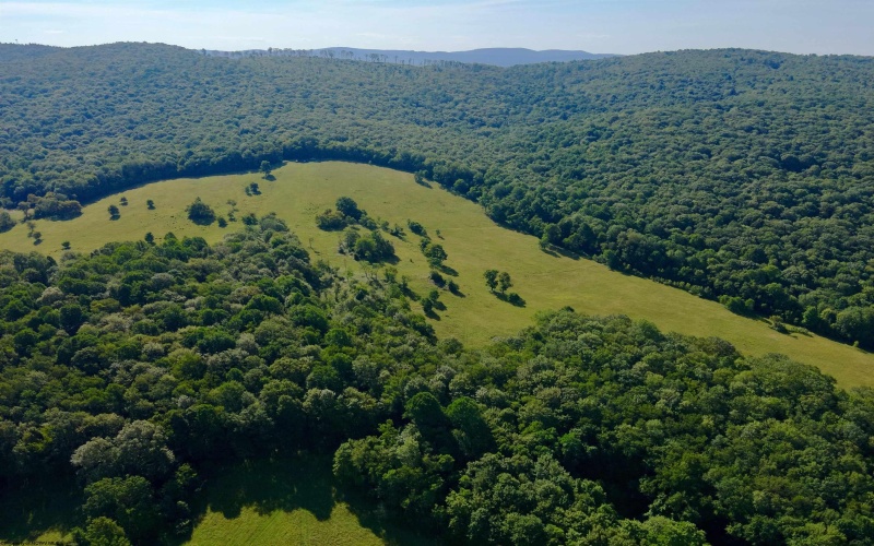 TBD Chidester Road, Terra Alta, West Virginia 26764, ,Lots/land,For Sale,Chidester,10160940