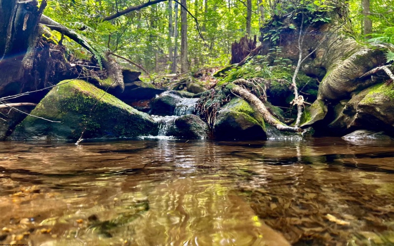TBD Chidester Road, Terra Alta, West Virginia 26764, ,Lots/land,For Sale,Chidester,10160940