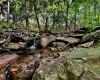 TBD Chidester Road, Terra Alta, West Virginia 26764, ,Lots/land,For Sale,Chidester,10160940