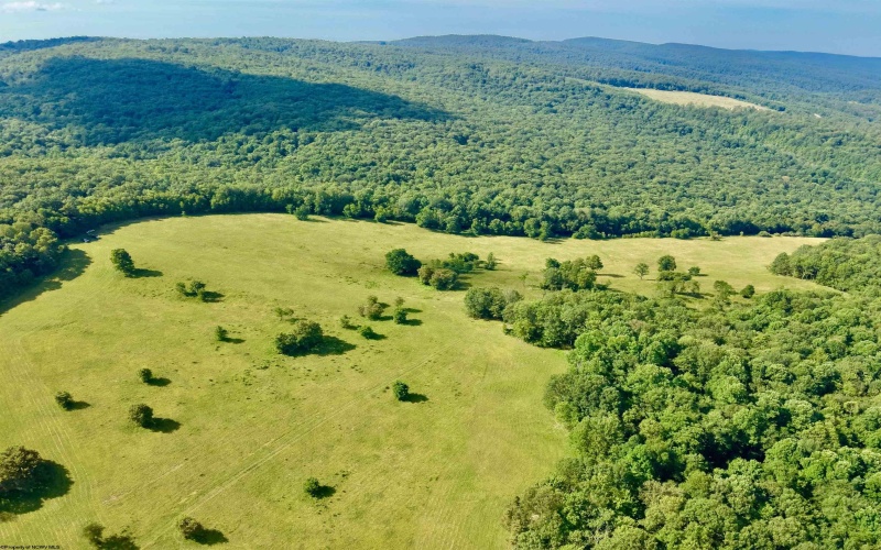 TBD Chidester Road, Terra Alta, West Virginia 26764, ,Lots/land,For Sale,Chidester,10160940