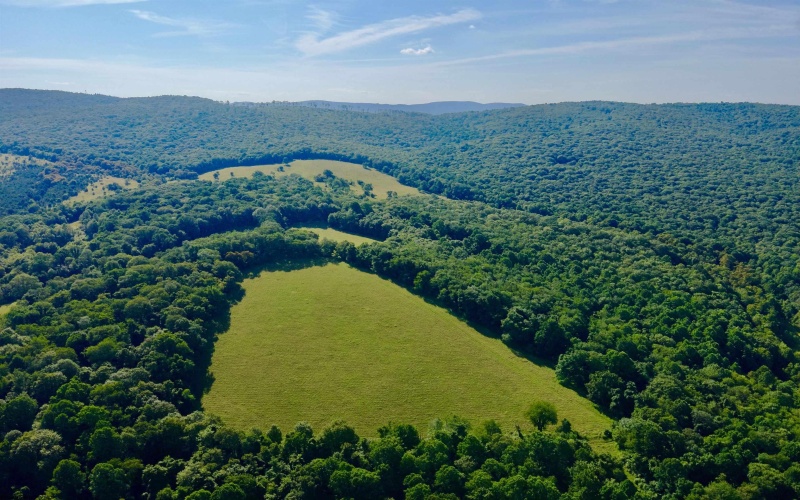 TBD Chidester Road, Terra Alta, West Virginia 26764, ,Lots/land,For Sale,Chidester,10160940
