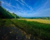 TBD Chidester Road, Terra Alta, West Virginia 26764, ,Lots/land,For Sale,Chidester,10160940