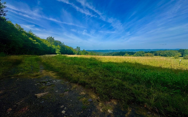 TBD Chidester Road, Terra Alta, West Virginia 26764, ,Lots/land,For Sale,Chidester,10160940