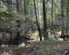 00 Bonner Mountain Road, Davis, West Virginia 26260, ,Lots/land,For Sale,Bonner Mountain,10160937