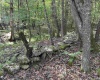 00 Bonner Mountain Road, Davis, West Virginia 26260, ,Lots/land,For Sale,Bonner Mountain,10160937