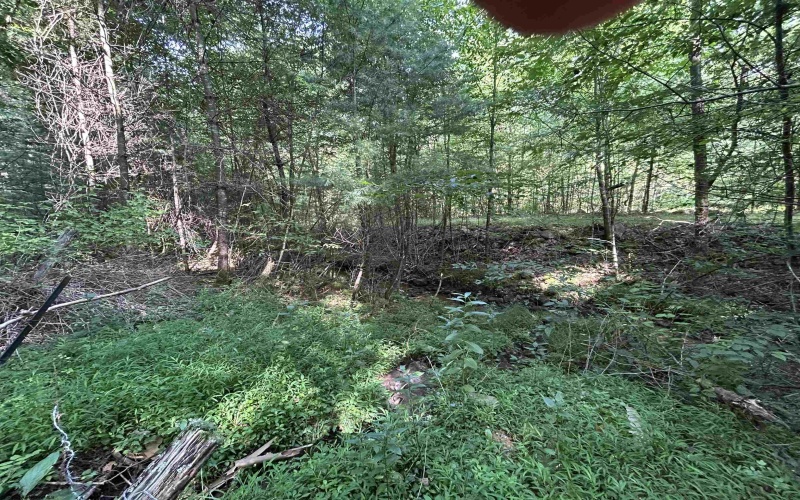 00 Bonner Mountain Road, Davis, West Virginia 26260, ,Lots/land,For Sale,Bonner Mountain,10160937