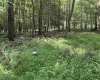 00 Bonner Mountain Road, Davis, West Virginia 26260, ,Lots/land,For Sale,Bonner Mountain,10160937