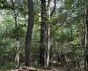 00 Bonner Mountain Road, Davis, West Virginia 26260, ,Lots/land,For Sale,Bonner Mountain,10160937