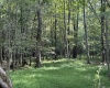 00 Bonner Mountain Road, Davis, West Virginia 26260, ,Lots/land,For Sale,Bonner Mountain,10160937