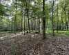 00 Bonner Mountain Road, Davis, West Virginia 26260, ,Lots/land,For Sale,Bonner Mountain,10160937