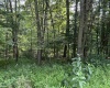 00 Bonner Mountain Road, Davis, West Virginia 26260, ,Lots/land,For Sale,Bonner Mountain,10160937