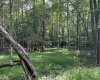 00 Bonner Mountain Road, Davis, West Virginia 26260, ,Lots/land,For Sale,Bonner Mountain,10160937