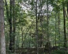 00 Bonner Mountain Road, Davis, West Virginia 26260, ,Lots/land,For Sale,Bonner Mountain,10160937