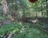 00 Bonner Mountain Road, Davis, West Virginia 26260, ,Lots/land,For Sale,Bonner Mountain,10160937