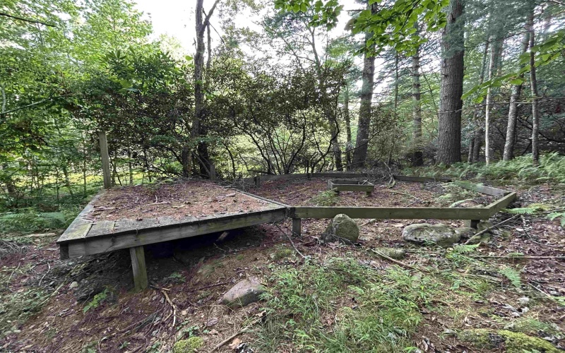 00 Bonner Mountain Road, Davis, West Virginia 26260, ,Lots/land,For Sale,Bonner Mountain,10160937