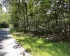 00 Bonner Mountain Road, Davis, West Virginia 26260, ,Lots/land,For Sale,Bonner Mountain,10160937