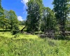 738 Jonathan Run Road, Parsons, West Virginia 26287, ,Lots/land,For Sale,Jonathan Run,10160923