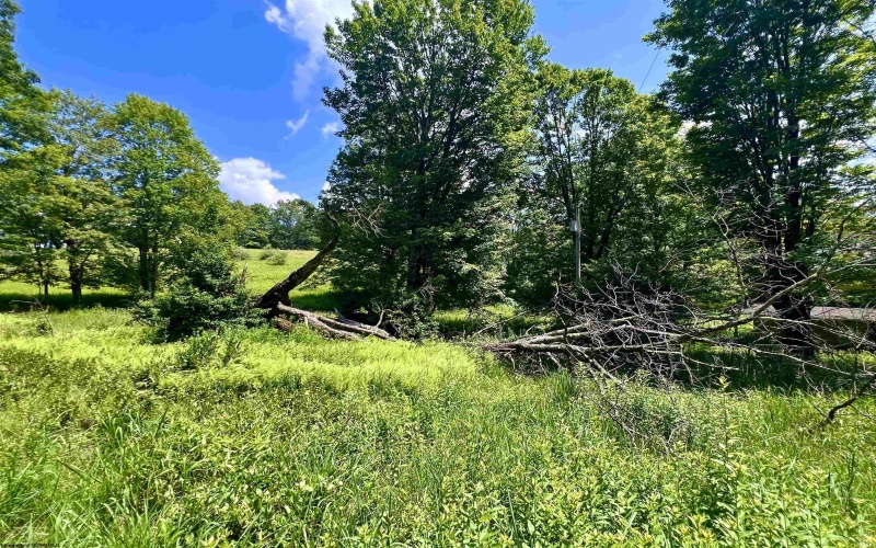 738 Jonathan Run Road, Parsons, West Virginia 26287, ,Lots/land,For Sale,Jonathan Run,10160923