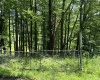 738 Jonathan Run Road, Parsons, West Virginia 26287, ,Lots/land,For Sale,Jonathan Run,10160923