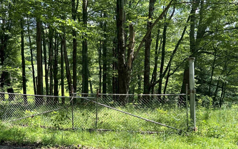 738 Jonathan Run Road, Parsons, West Virginia 26287, ,Lots/land,For Sale,Jonathan Run,10160923