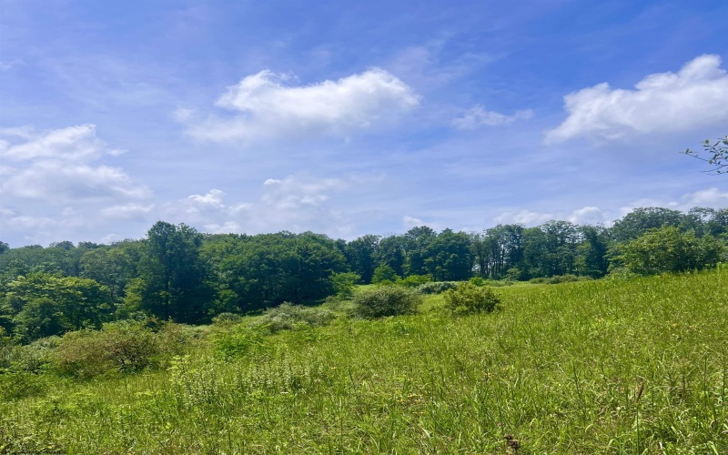 738 Jonathan Run Road, Parsons, West Virginia 26287, ,Lots/land,For Sale,Jonathan Run,10160923