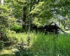 738 Jonathan Run Road, Parsons, West Virginia 26287, ,Lots/land,For Sale,Jonathan Run,10160923