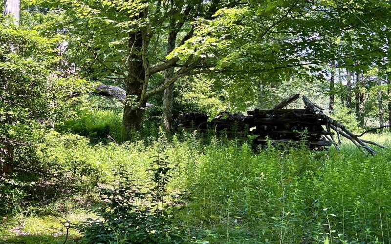 738 Jonathan Run Road, Parsons, West Virginia 26287, ,Lots/land,For Sale,Jonathan Run,10160923