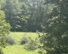 738 Jonathan Run Road, Parsons, West Virginia 26287, ,Lots/land,For Sale,Jonathan Run,10160923