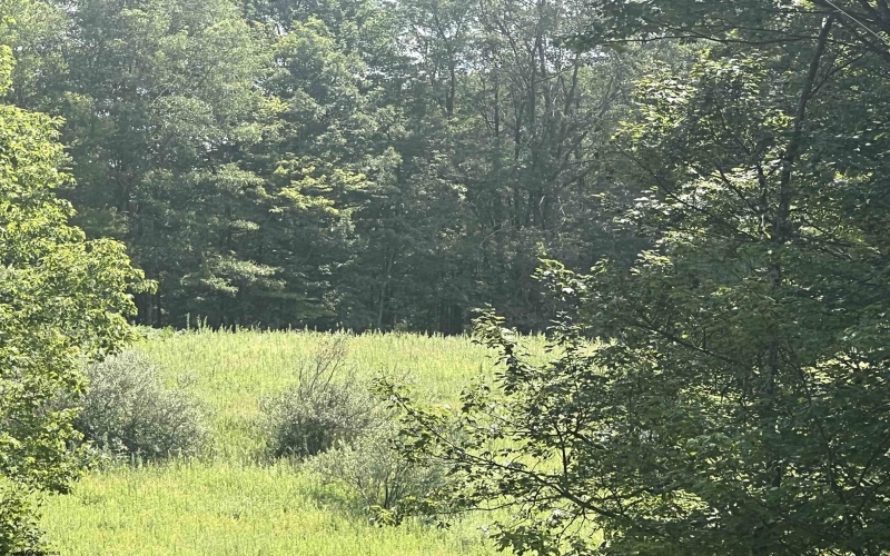 738 Jonathan Run Road, Parsons, West Virginia 26287, ,Lots/land,For Sale,Jonathan Run,10160923