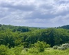 738 Jonathan Run Road, Parsons, West Virginia 26287, ,Lots/land,For Sale,Jonathan Run,10160923